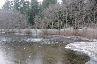 DSC_5493.JPG