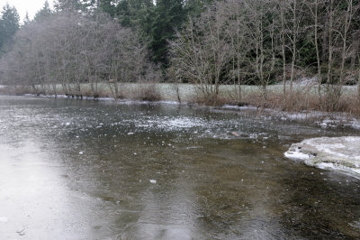 DSC_5494.JPG