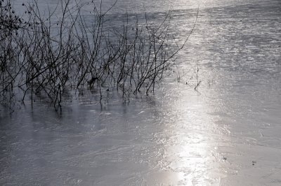 DSC_5496.JPG