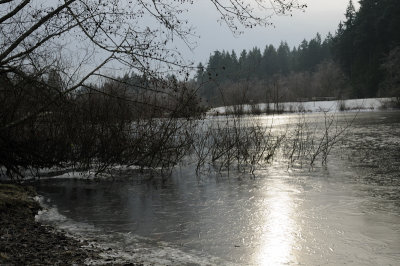 DSC_5501.JPG