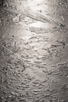 DSC_5503.JPG