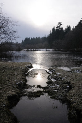 DSC_5504.JPG