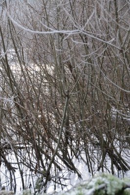 DSC_5508.JPG