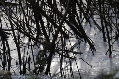 DSC_5509.JPG