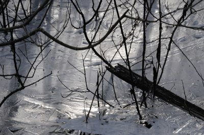DSC_5511.JPG