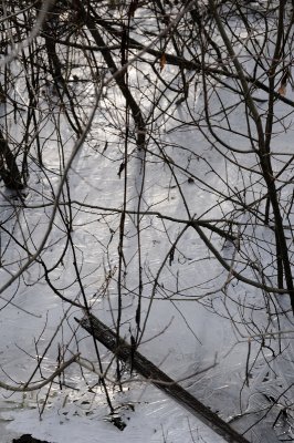 DSC_5512.JPG