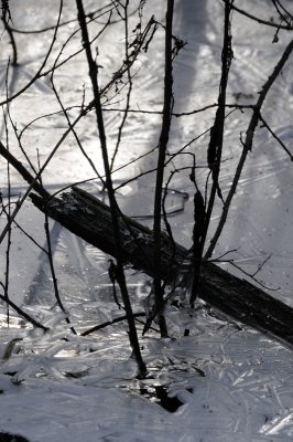 DSC_5514.JPG