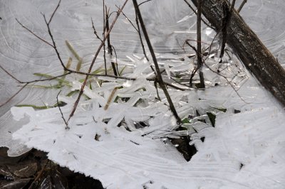 DSC_5516.JPG