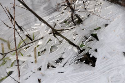 DSC_5518.JPG