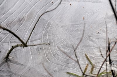 DSC_5519.JPG