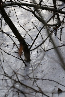 DSC_5522.JPG