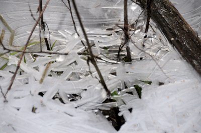 DSC_5523.JPG