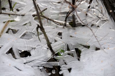 DSC_5525.JPG