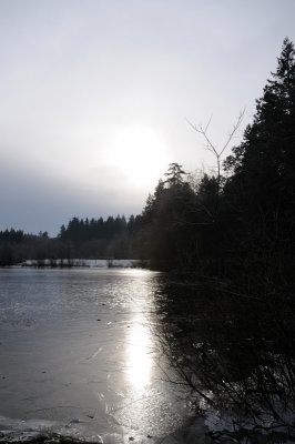 DSC_5538.JPG
