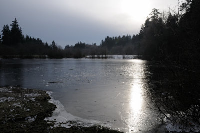 DSC_5539.JPG