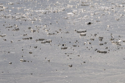 DSC_5541.JPG