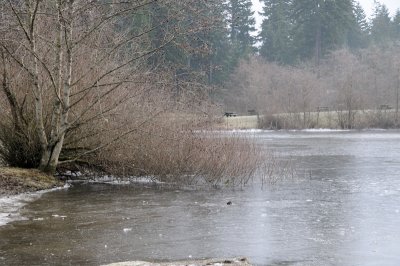 DSC_5542.JPG