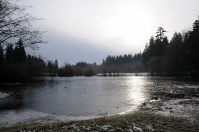 DSC_5545.JPG