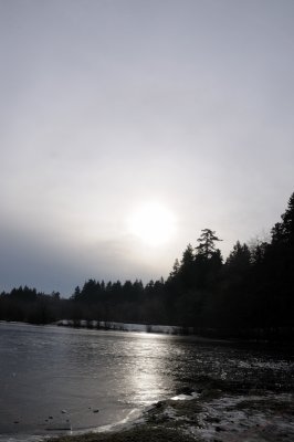 DSC_5546.JPG