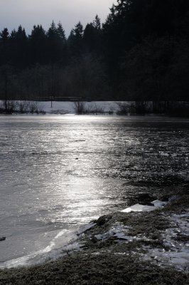 DSC_5547.JPG
