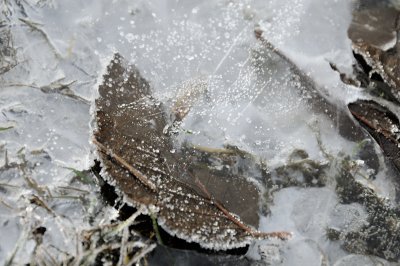 DSC_5553.JPG