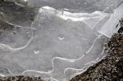 DSC_5557.JPG