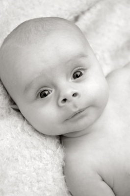 DSC_0375bw.jpg