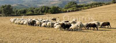 Panorama of Greece