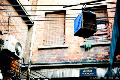 Shanghai