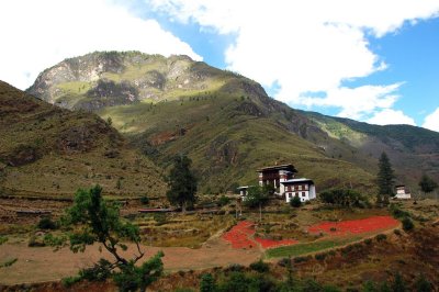 Bhutan-025.jpg