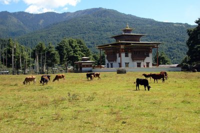 Bhutan-146.jpg