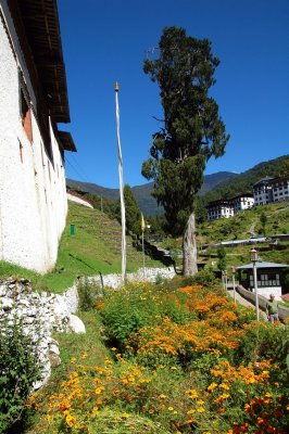 Bhutan-213.jpg