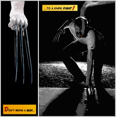 wolverine 01.jpg