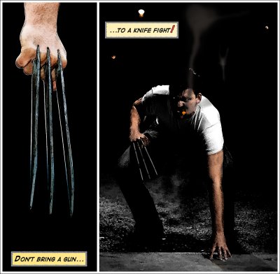 wolverine 02.jpg