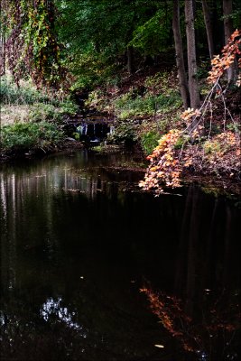 20091008