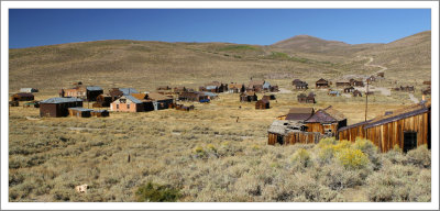 Bodie