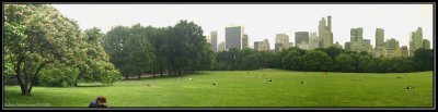 Central Park