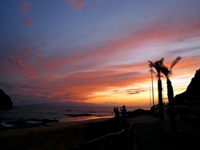 TWO PALM-TREES AT SUNSET