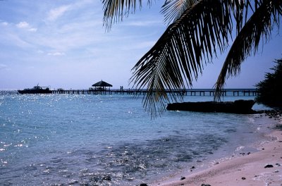  THE  PIER