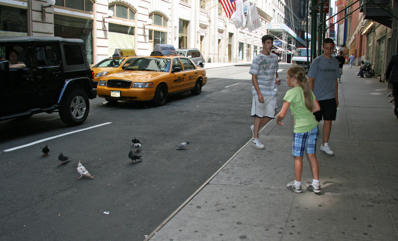 Scooter-bug new friends.jpg