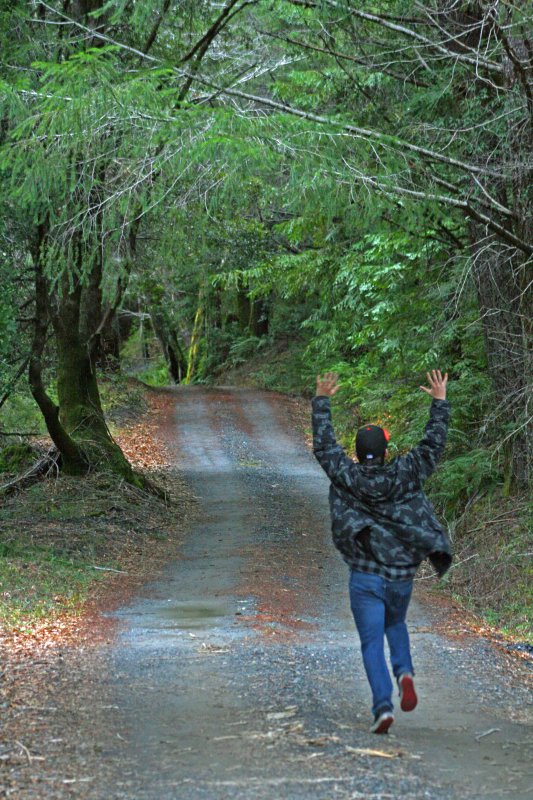 Rural Run in the Woods