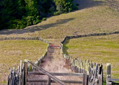 Mendocino County backroads.jpg