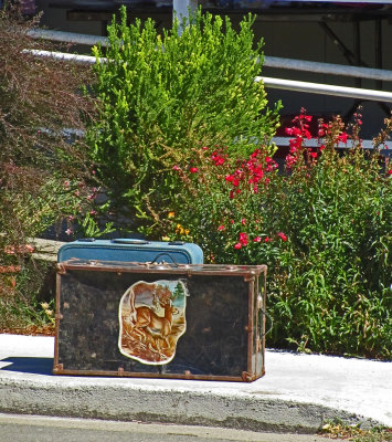 Retro baggage.jpg