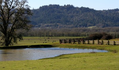 little lake valley.jpg