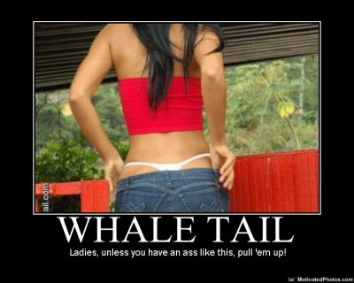 whaletail.jpg