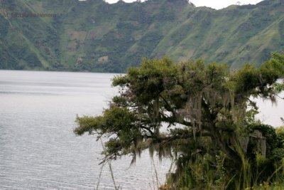 Vista del Suroccidente de la Laguna de Ayarza