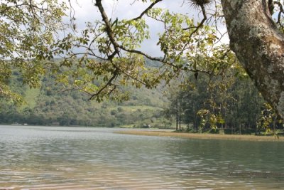 Parque Laguna del Pino