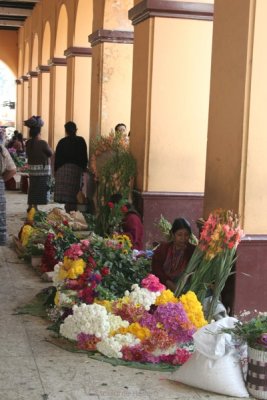 Las Flores es uno de los Principales Productos del Municipio
