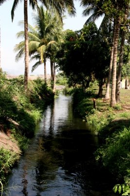 Canal de Irrigacion