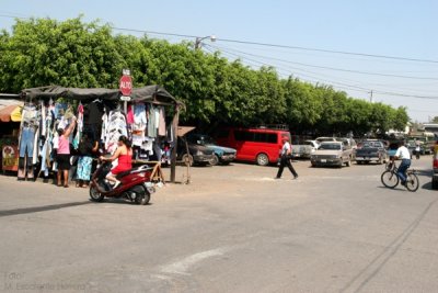 Mercado Municipal